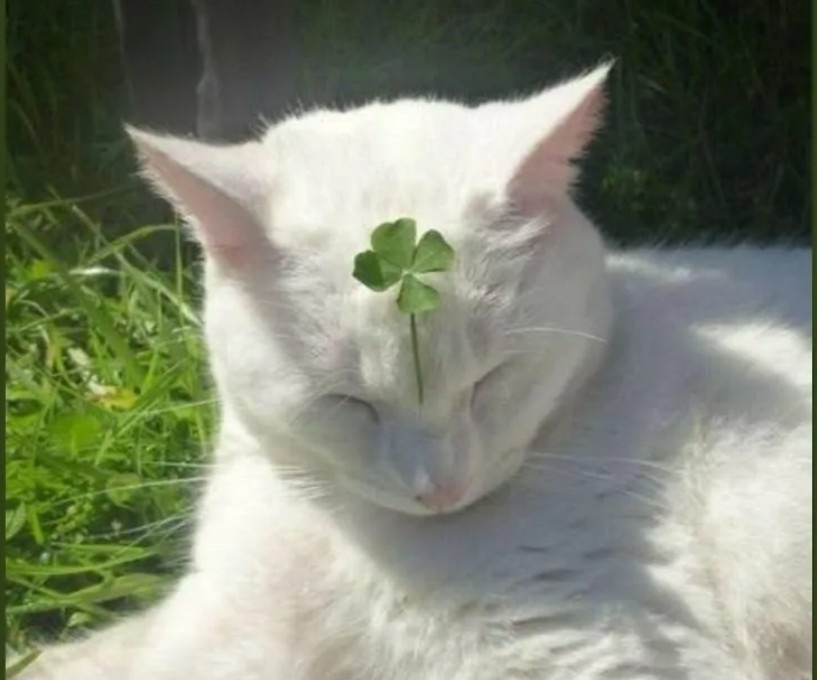 Чем больше вы работаете, тем более удачливыми становитесь.