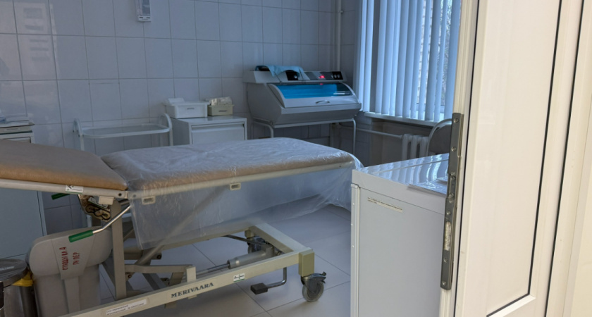    Автор фото — Анастасия Козлова