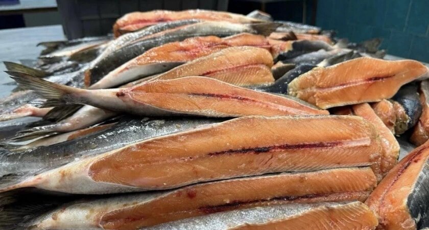    Фото пресс-службы правительства Иркутской области