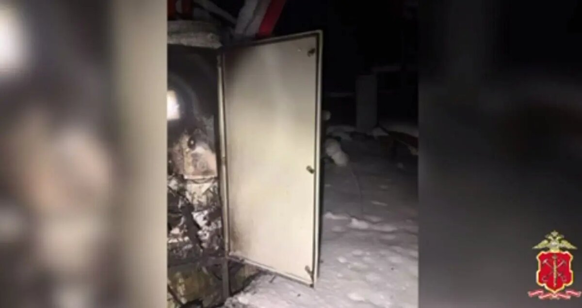    Фото: скриншот из видео пресс-службы ГУ МВД России по Петербургу и Ленобласти.