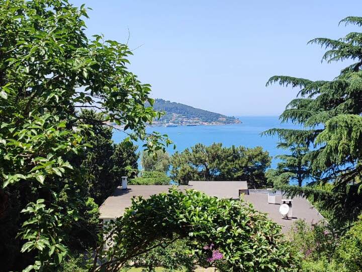 Таинственный остров