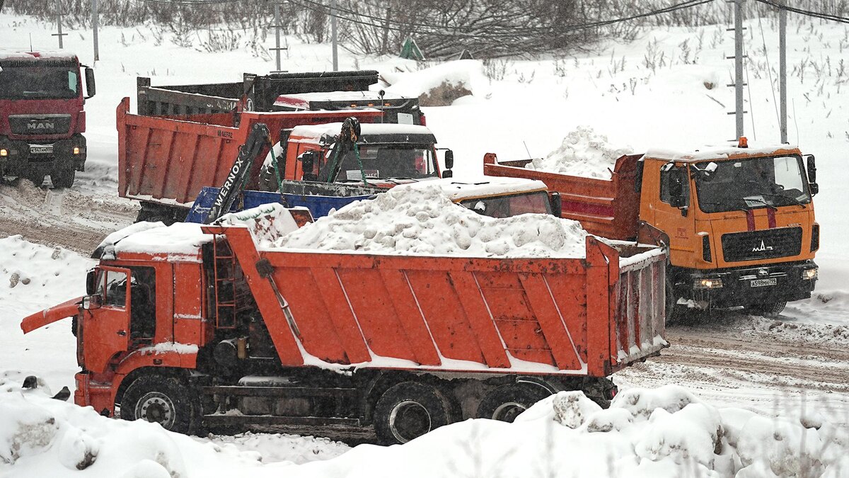    Фото: ИЗВЕСТИЯ/Павел Волков