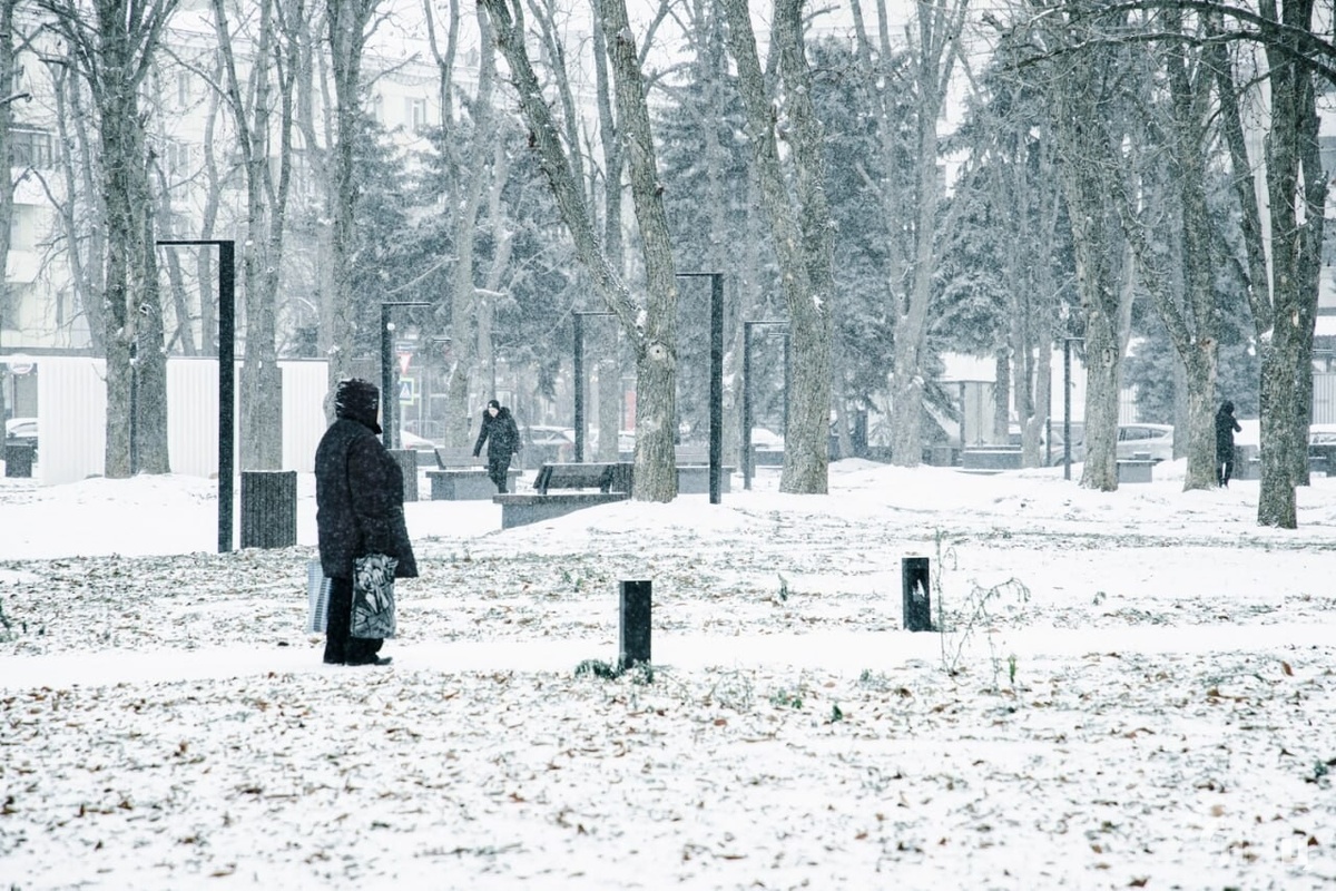    Фото: Луганский Информационный Центр/Чмирова Дарья