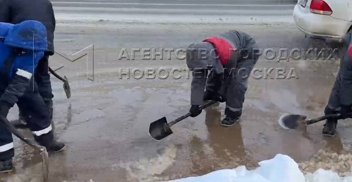    Фото: скриншот / АГН «Москва» / Telegram