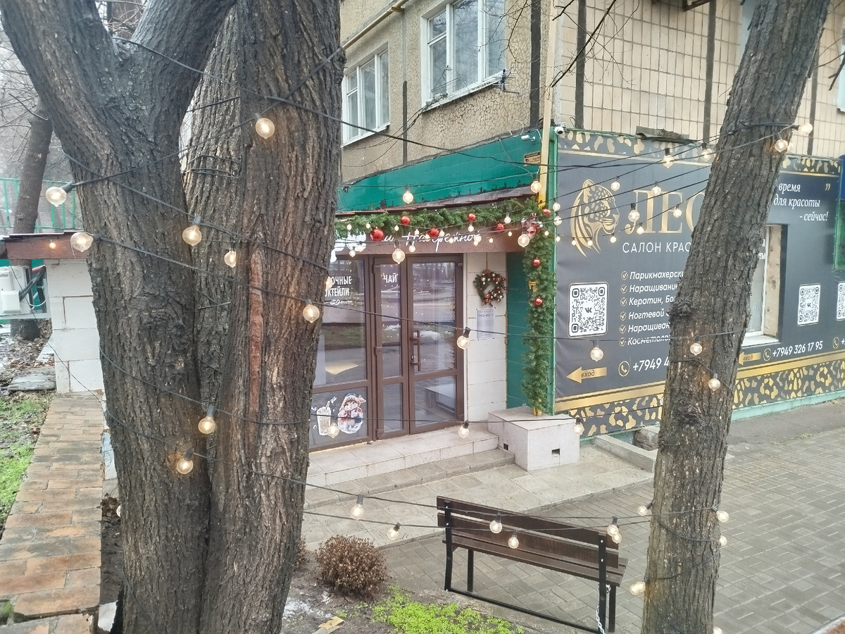 Зимние украшения возле кофейни в конце проспекта Гурова.