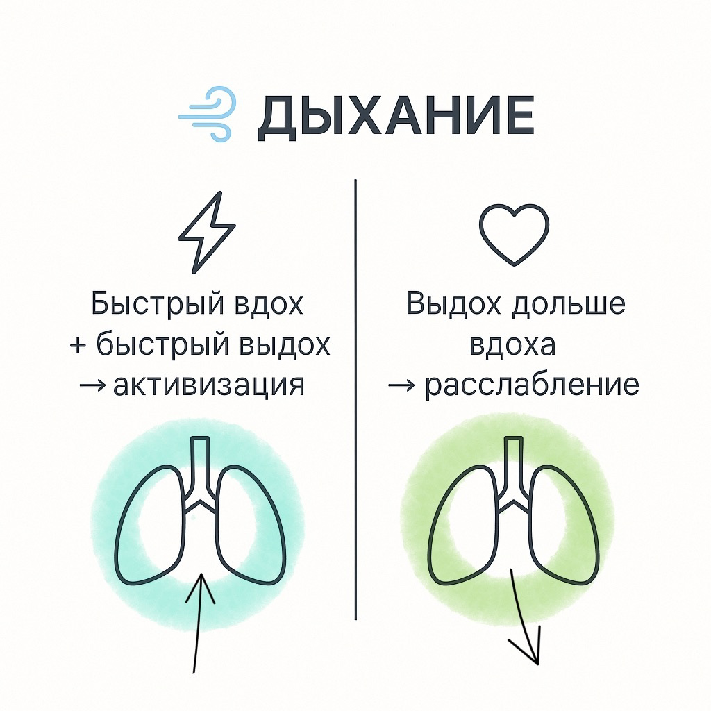 Дыхание может помочь взбодриться или расслабиться
