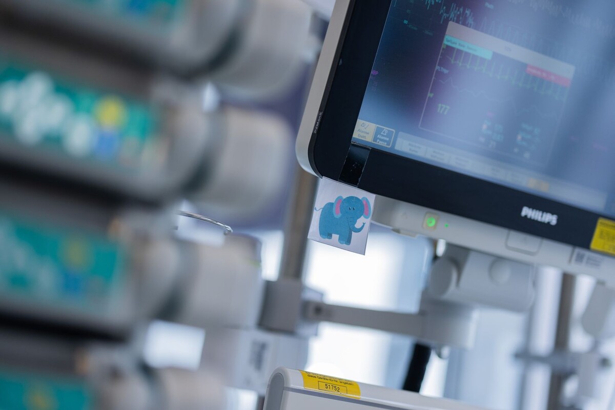     / Источник: © Global Look Press