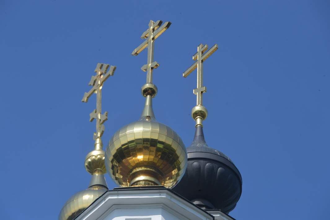 Фото: Global Look Press/Komsomolskaya Pravda
