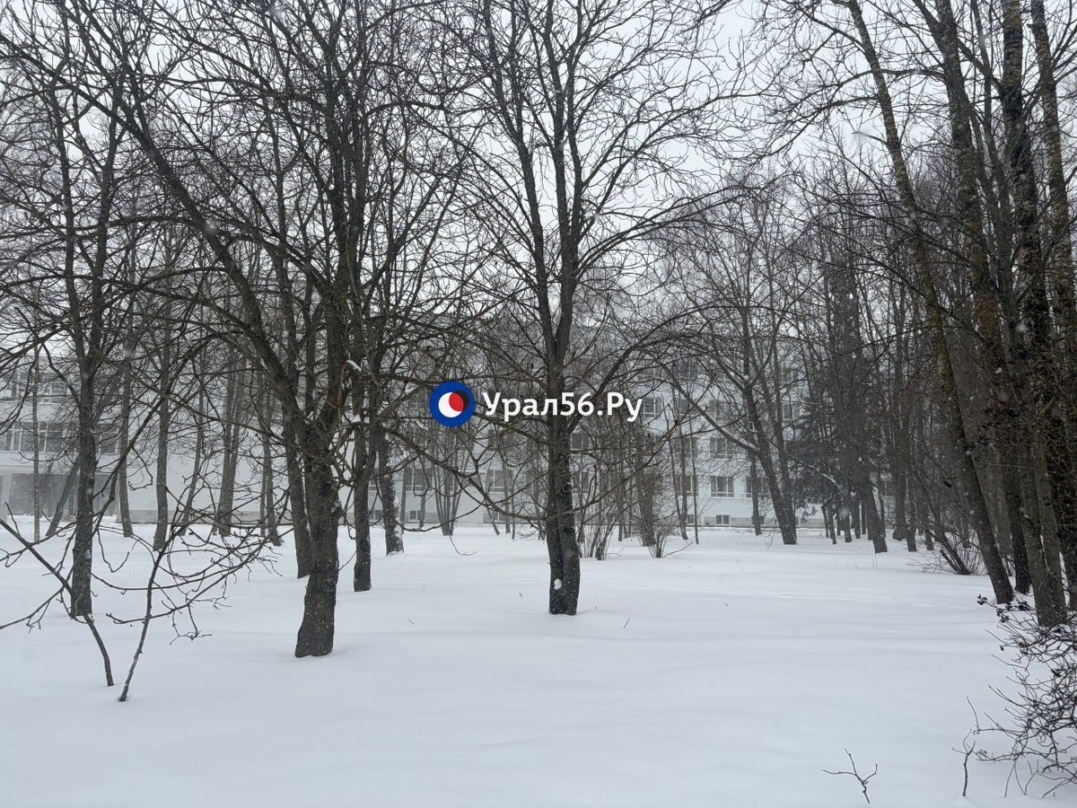    В Орск вылетел ректор университета, где учились погибшие курсанты