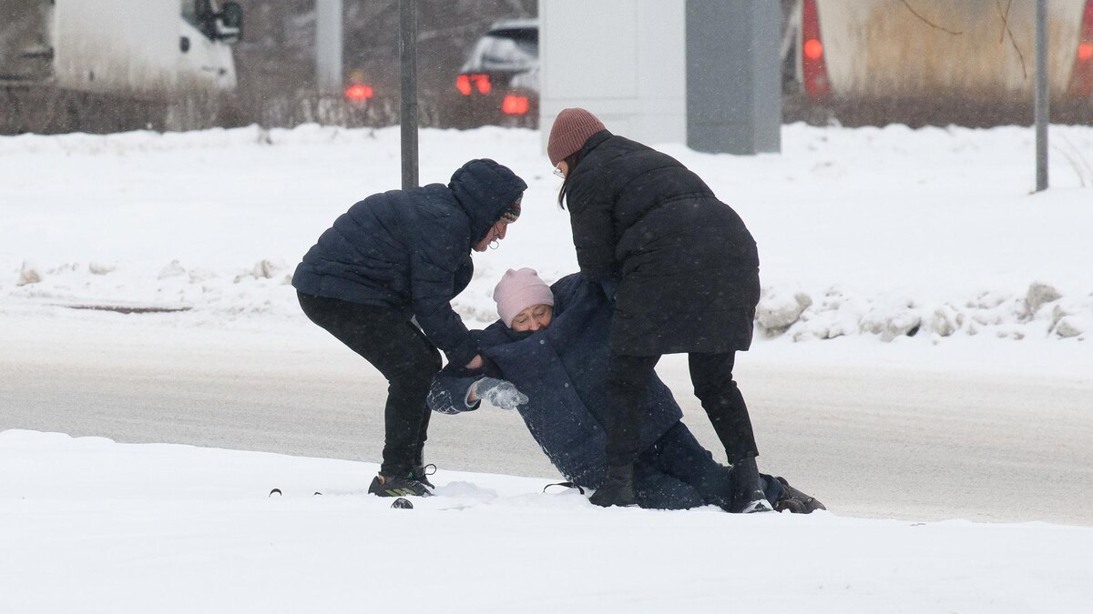 Фото: Ilya Moskovets/globallookpress.com