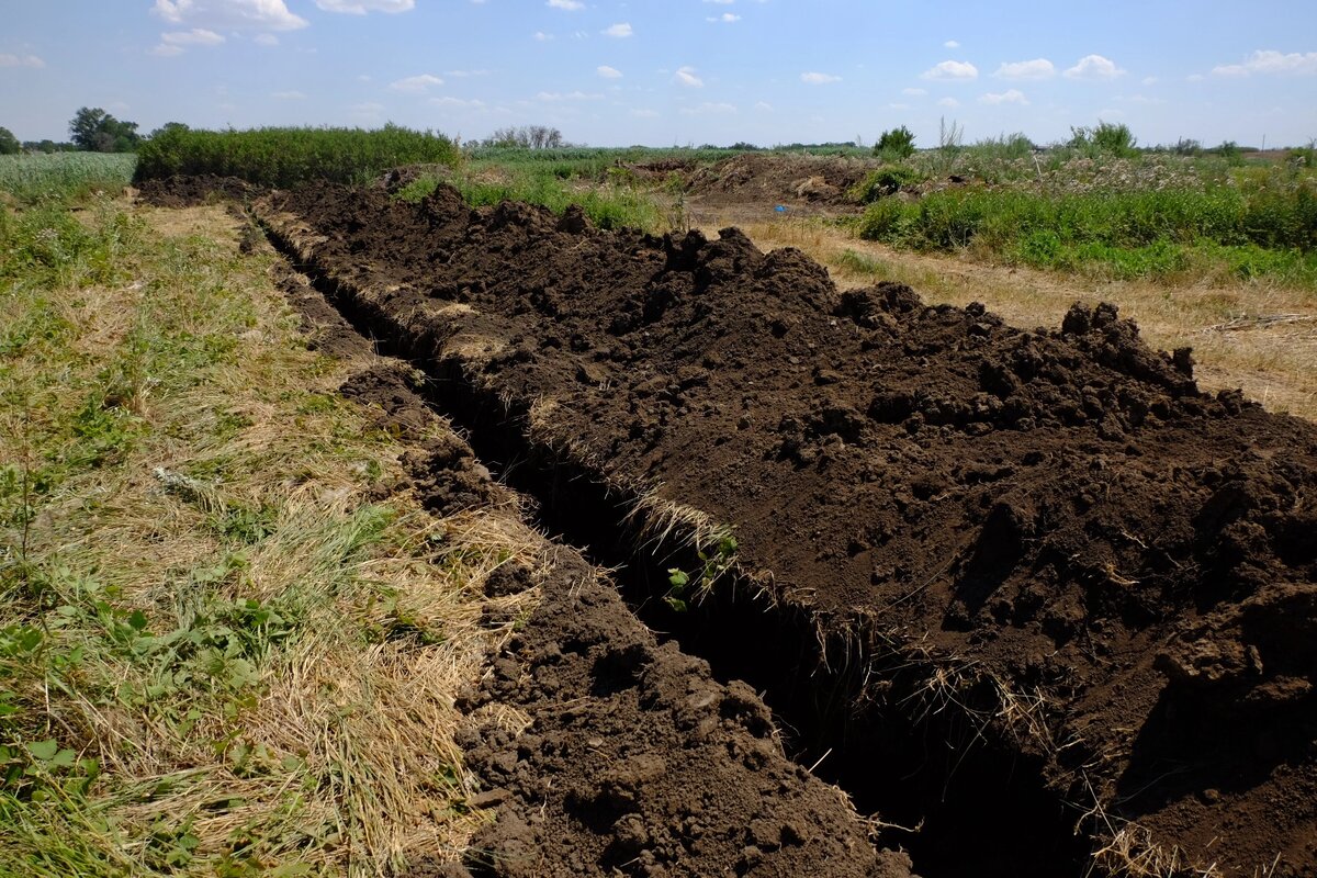   Фото: Управление Россельхознадзора по РВАОиРК