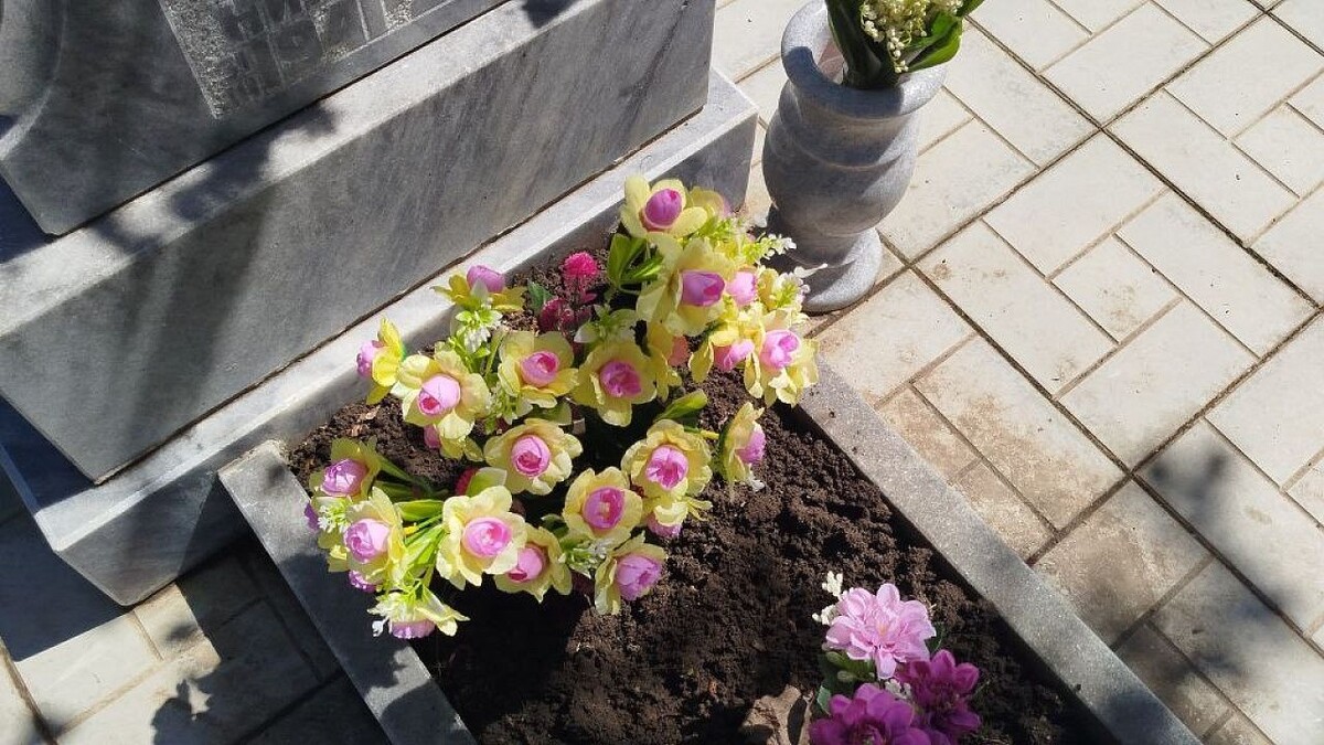    Фото: телеканал «Краснодар»