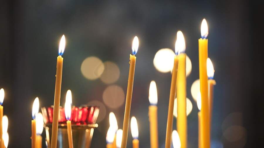    Фото: ИЗВЕСТИЯ/Дмитрий Коротаев