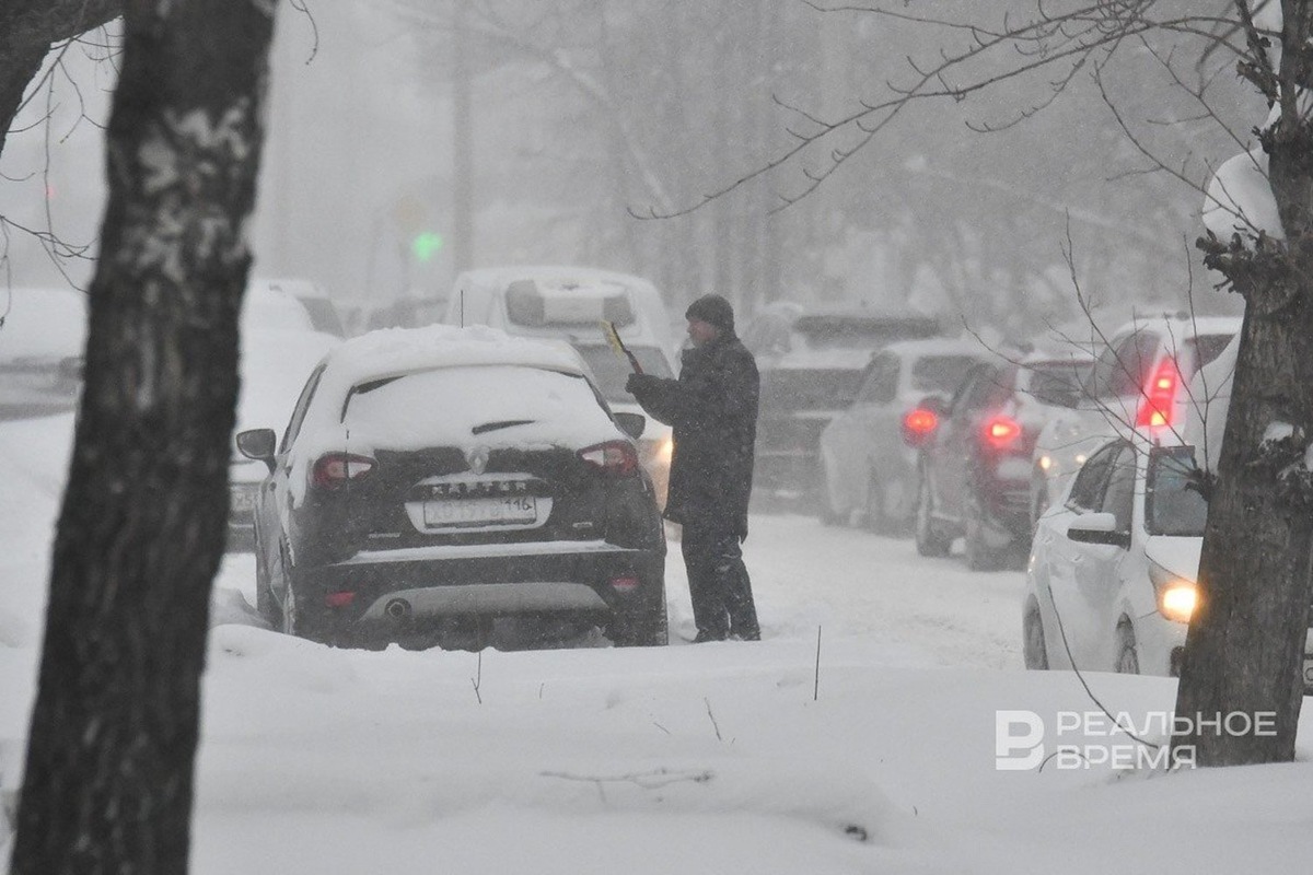   Максим Платонов / realnoevremya.ru