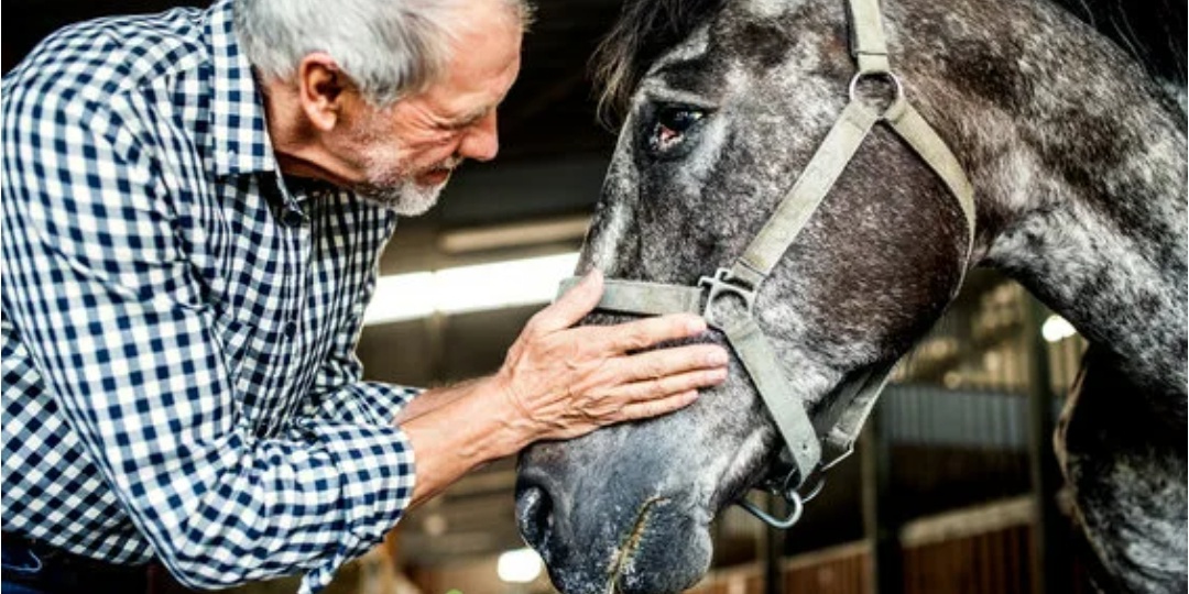 Табунщик Алексей спас старую лошадь. А что произошло дальше потрясло всех до глубины души