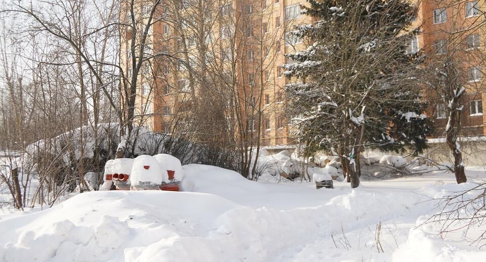    Алёна Притула