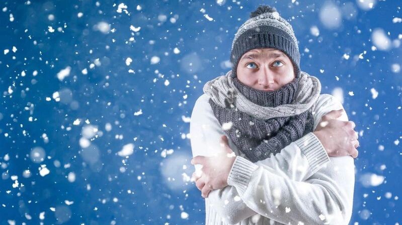    Фото: Anton Watman / Shutterstock / Fotodom