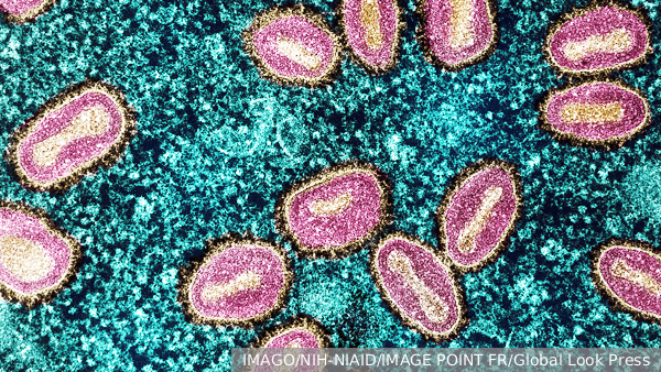     Фото: IMAGO/NIH-NIAID/IMAGE POINT FR/Global Look Press   
 Текст: Ольга Иванова