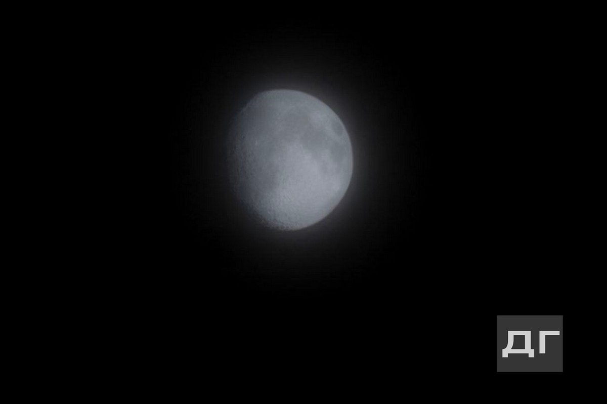 Фото: "Донская газета"