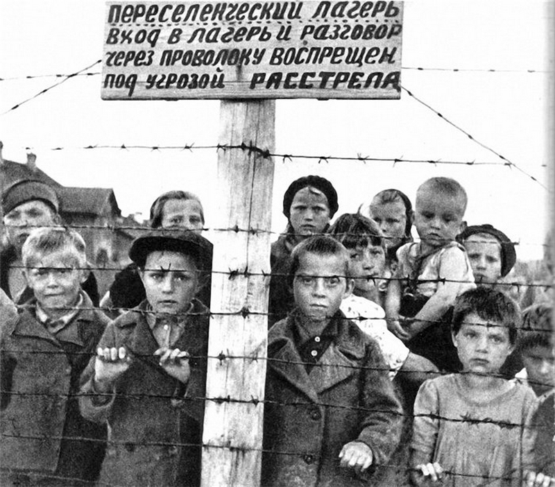 Фото из свободных источников.