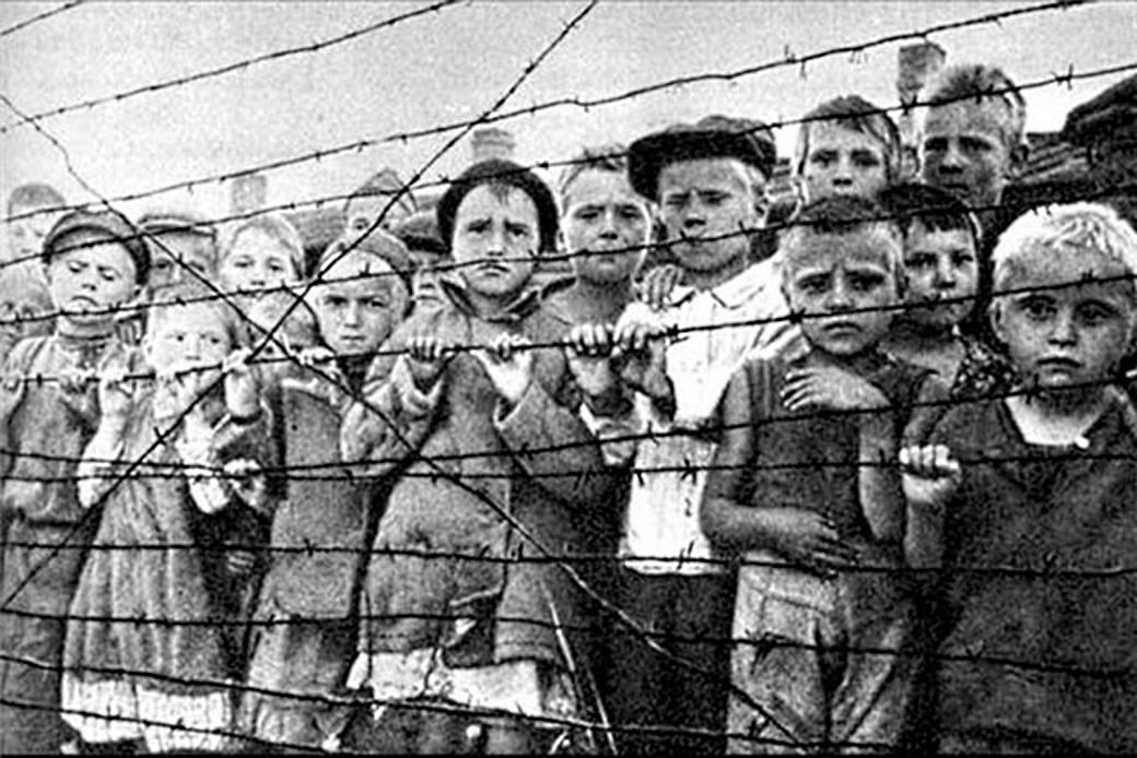 Фото из свободных источников.