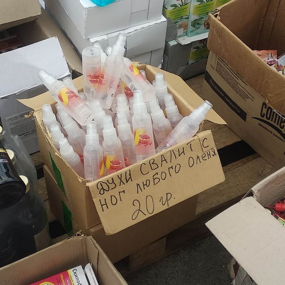 фото из свободных источников