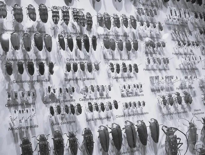 Источник: techinsider.ru