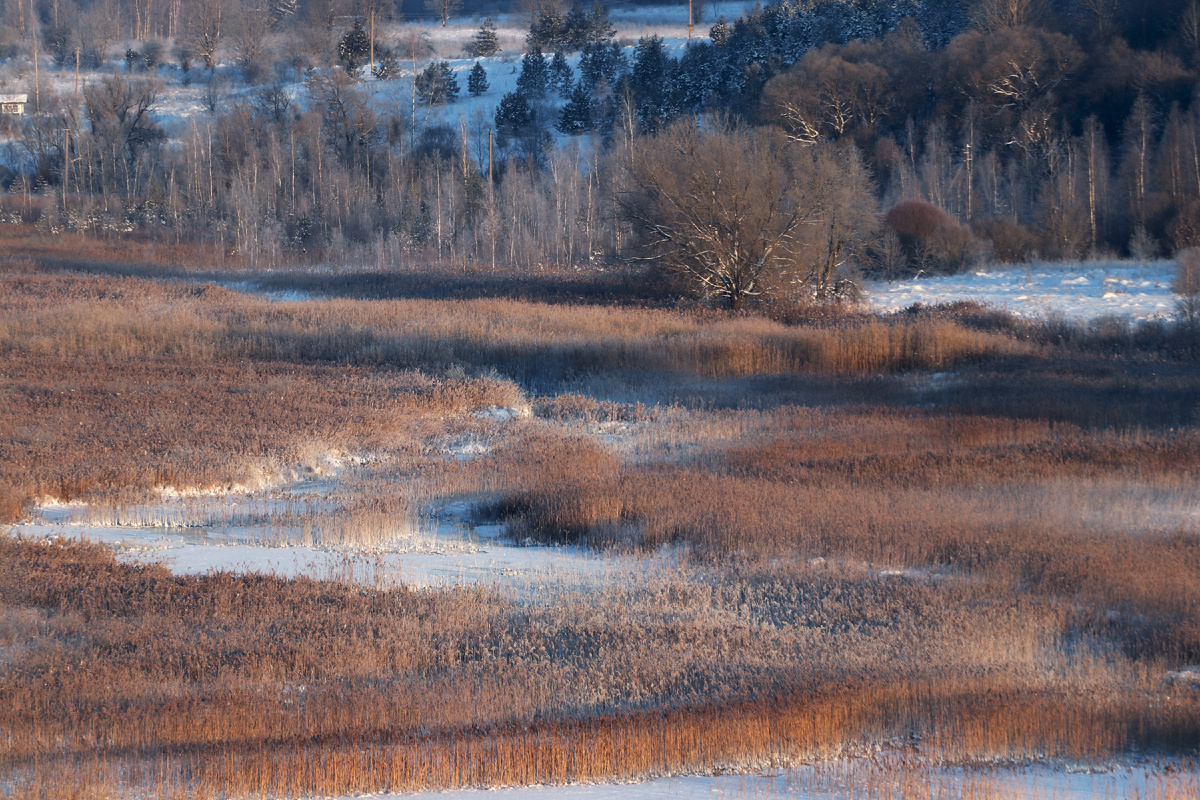 Фотография из архива музея-заповедника "Изборск"