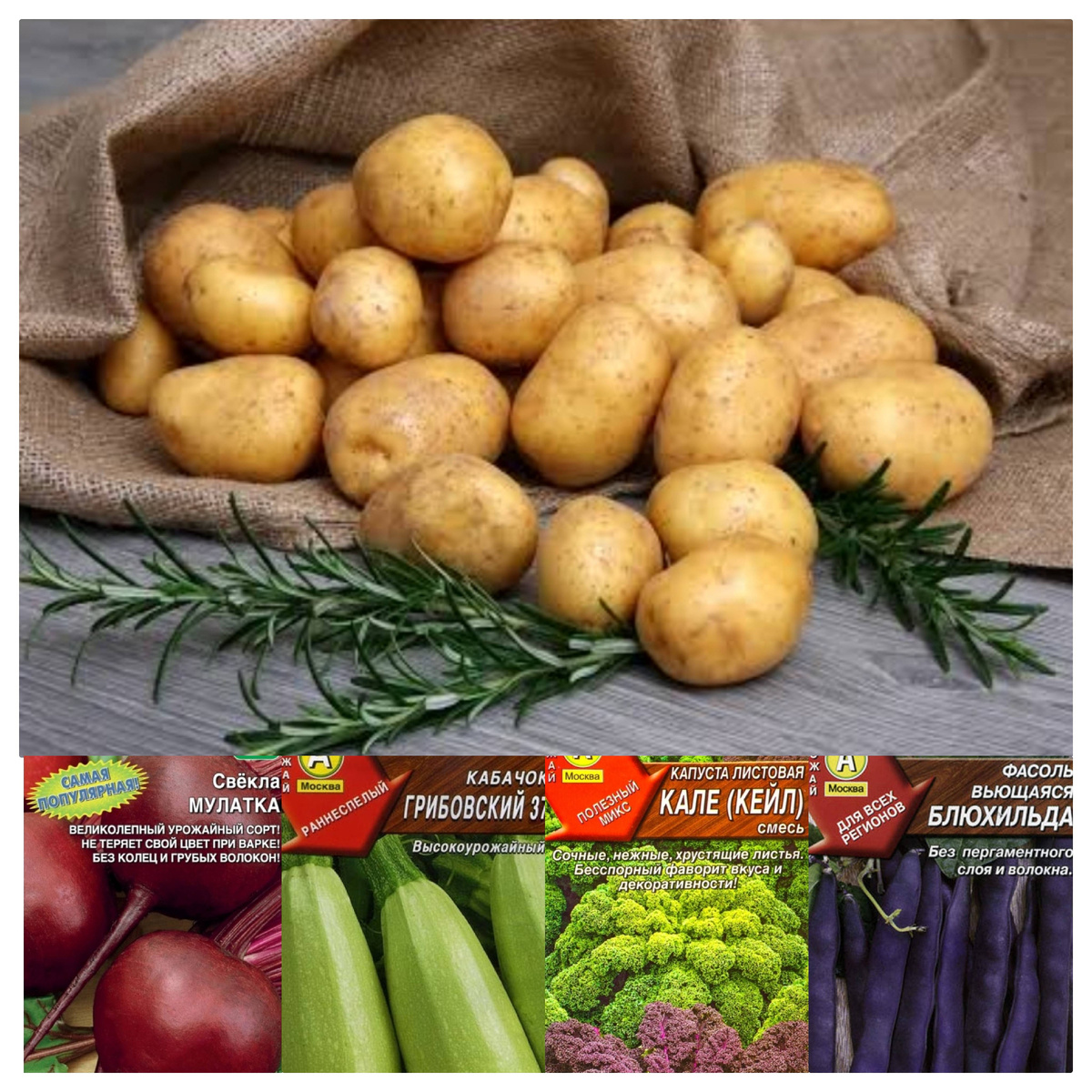 «Бессменная пятёрка надёжности. Проверено лесом и временем».