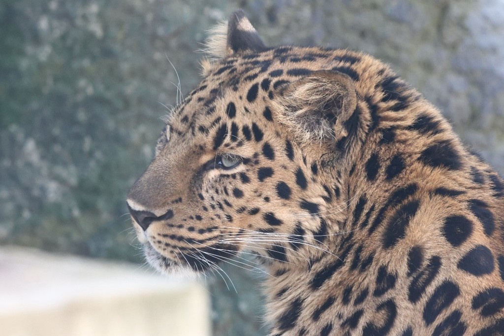    Фото © Анастасия Романова / Абзац