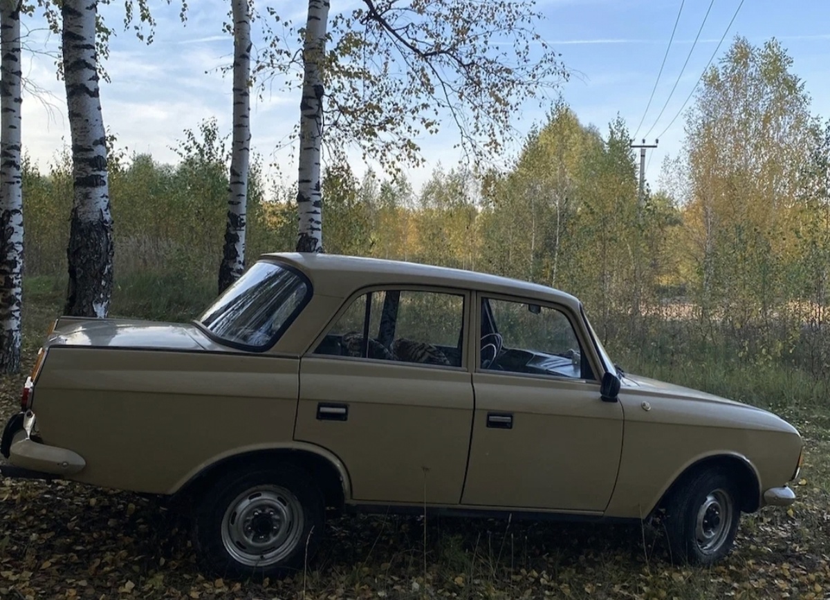 Фото из просторов интернета. 