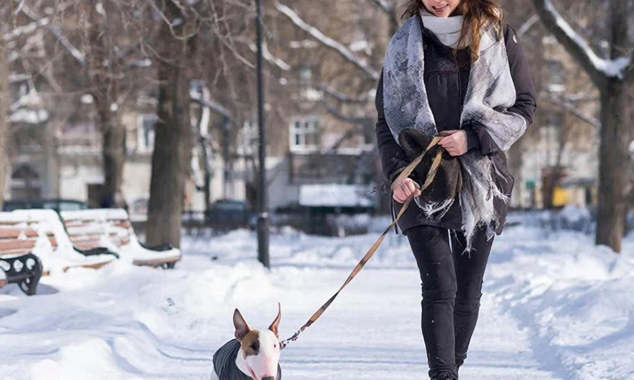 Молодая девушка со щенком спасла мальчика, упавшего в овраг в Камызяке
