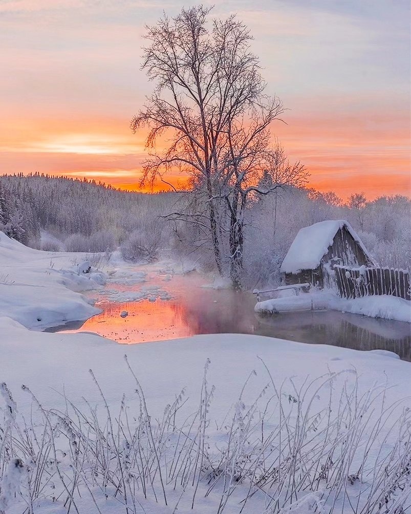 Референс взят с разрешения автора.