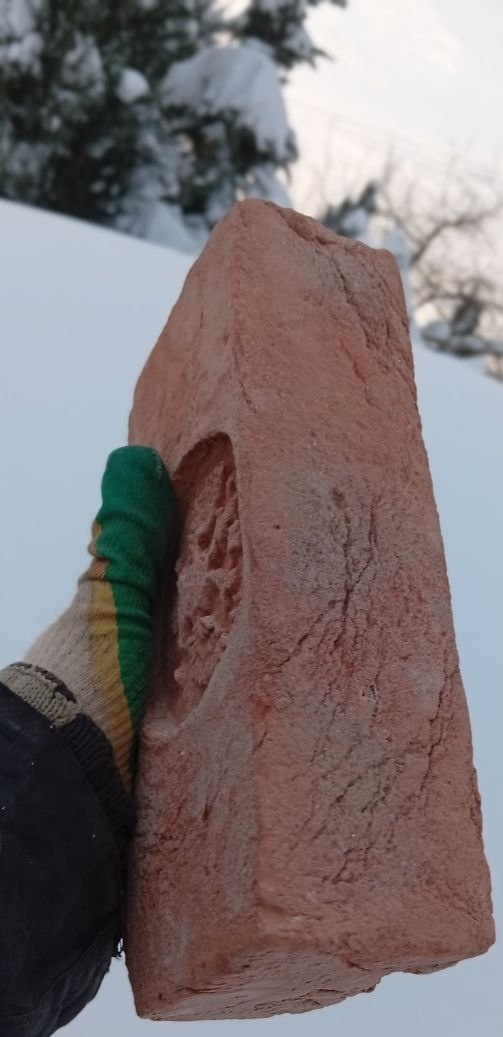 Можжевельники