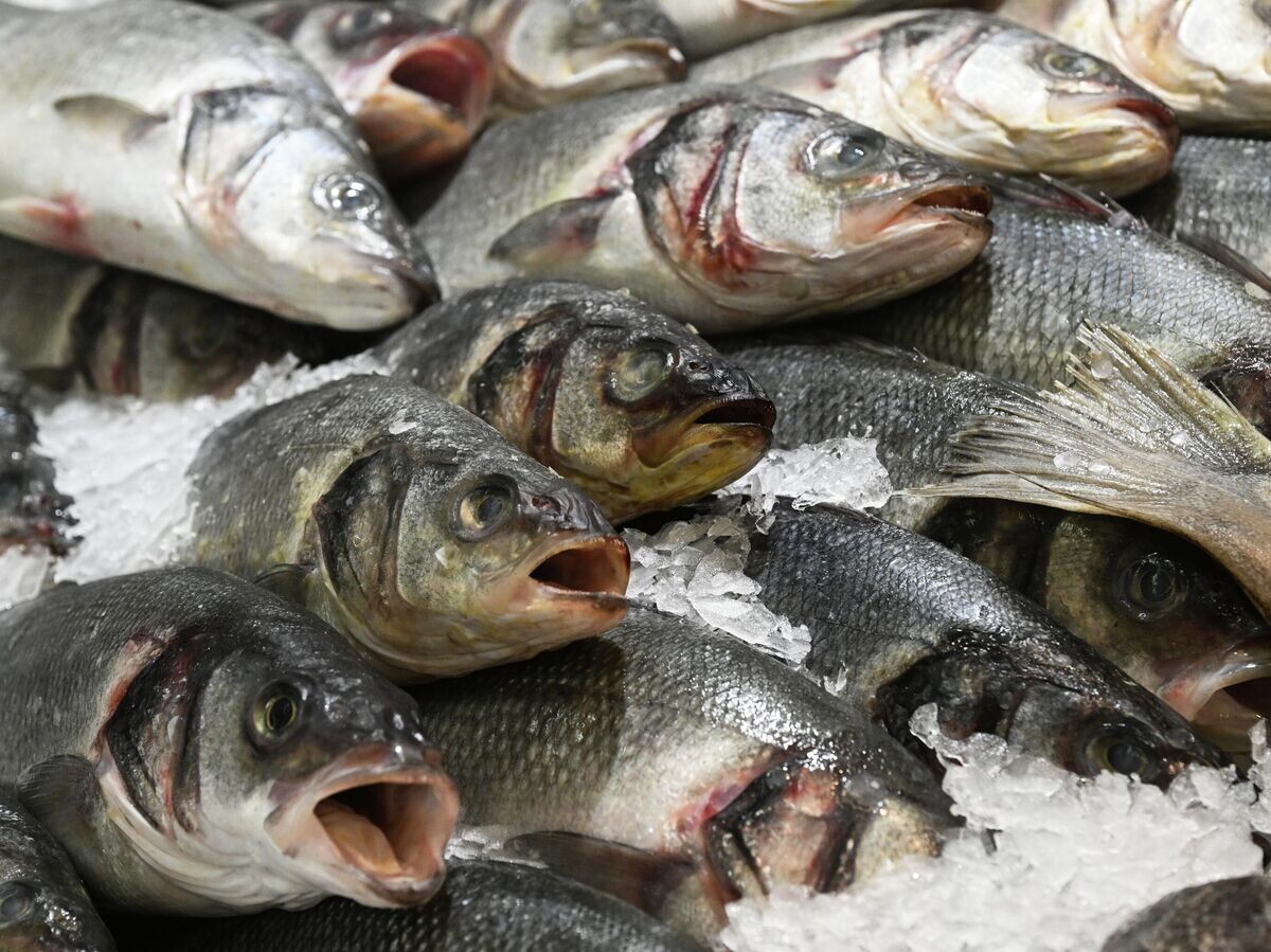    Продажа рыбы в московском супермаркете | © РИА Новости / Кирилл Каллиников