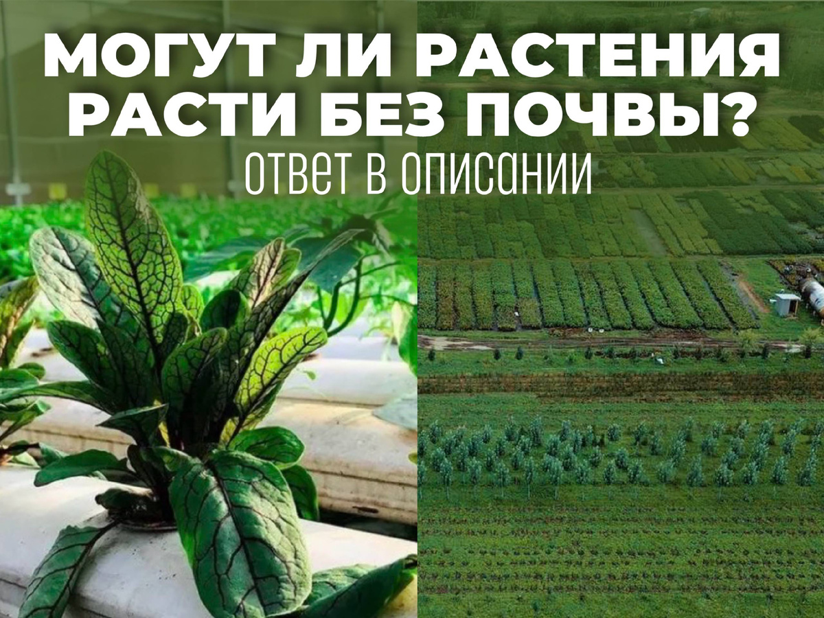 Еще больше полезного в Телеграмм канале - @gorodmechta