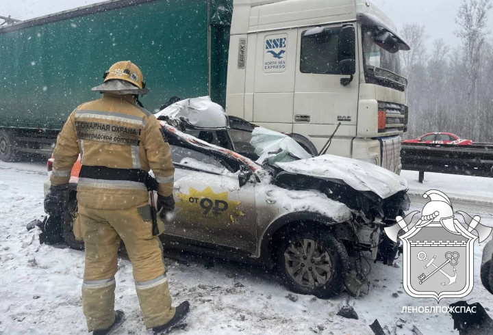 фото: Леноблпожспас