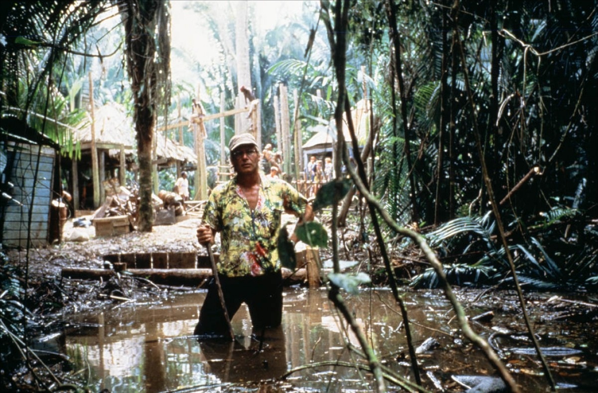 Кадр из фильма "Берег москитов" (1986)