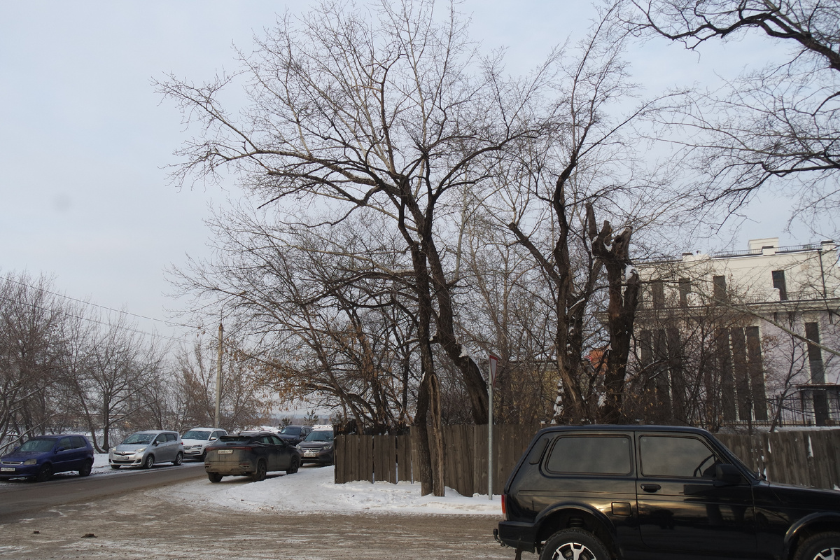 вот если идти прямо-прямо по Цэсовской набережной, то и придёшь к причалу...