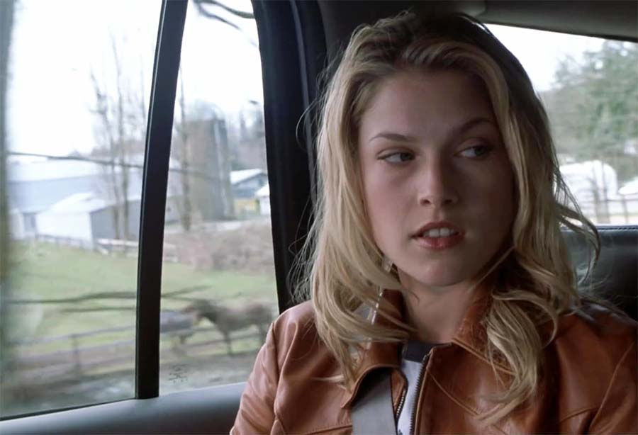 Фото из свободных источников.