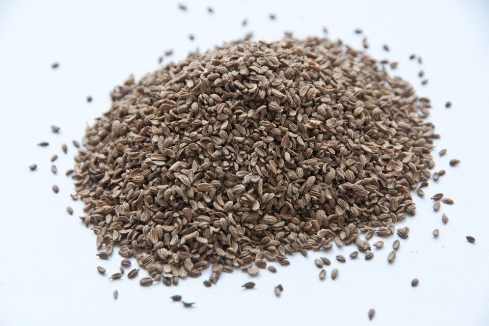    Теперь эту работу могут выполнять только эксперты с аккредитацией. Фото: ФГБУ "ВНИИЗЖ".