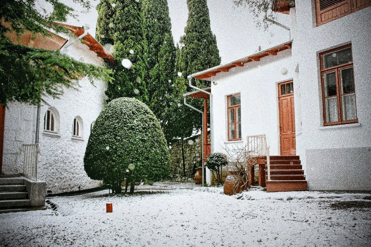 Дом-музей Антона Чехова // Фото со страницы музея Чехова в ВКонтакте