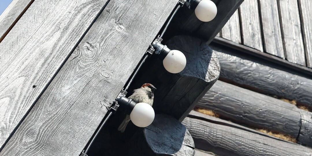 Специалисты устраняют аварию, из-за которой десятки домов в Салехарде остались без света