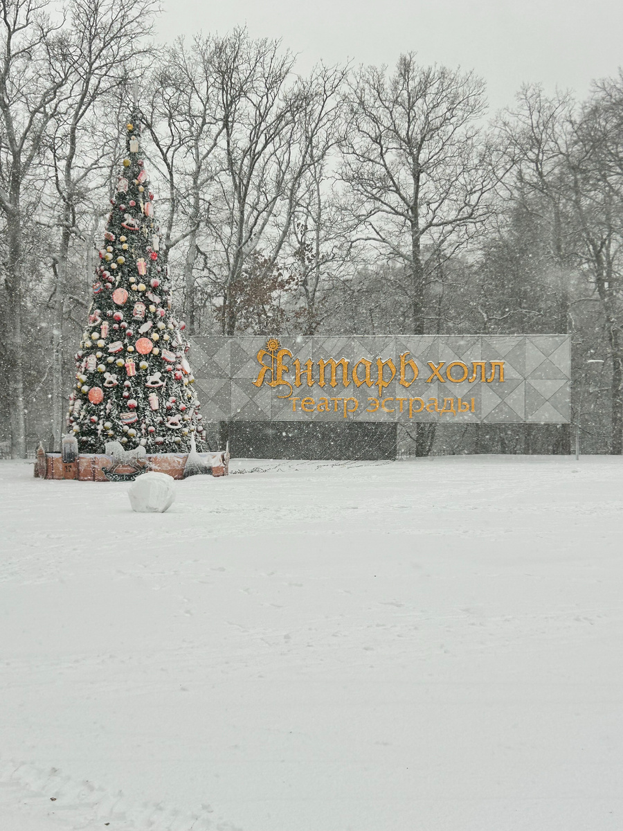 Светлогорск (фото автора)