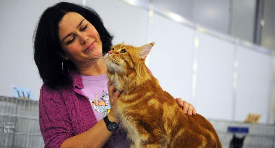    Медиасток.рф