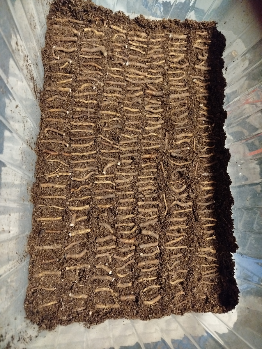 Нарезан и разложен.