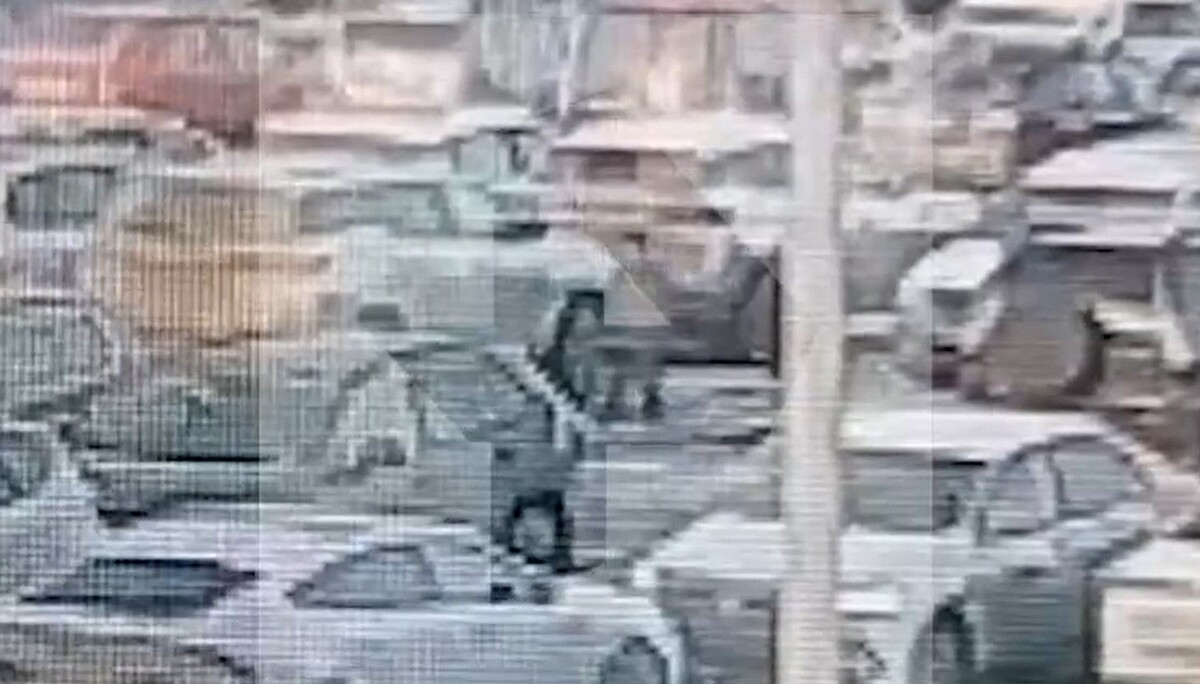     / Источник: кадр из видео