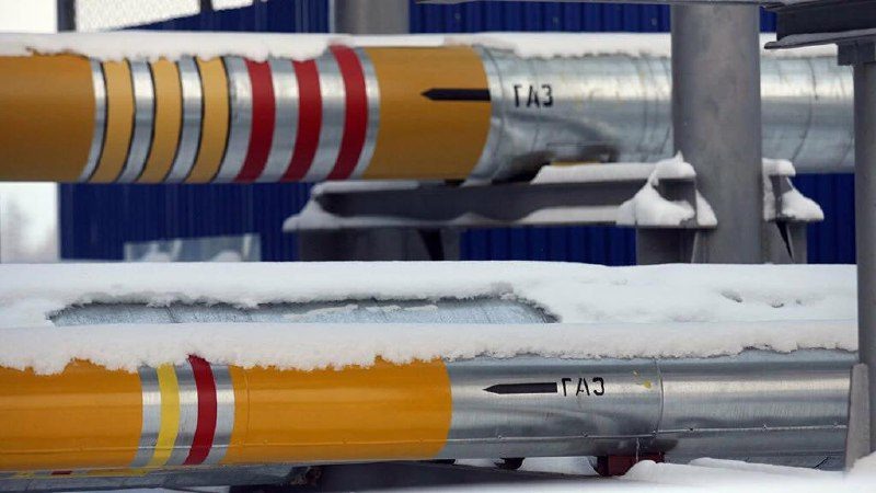    Максим Стулов / Ведомости Редакция