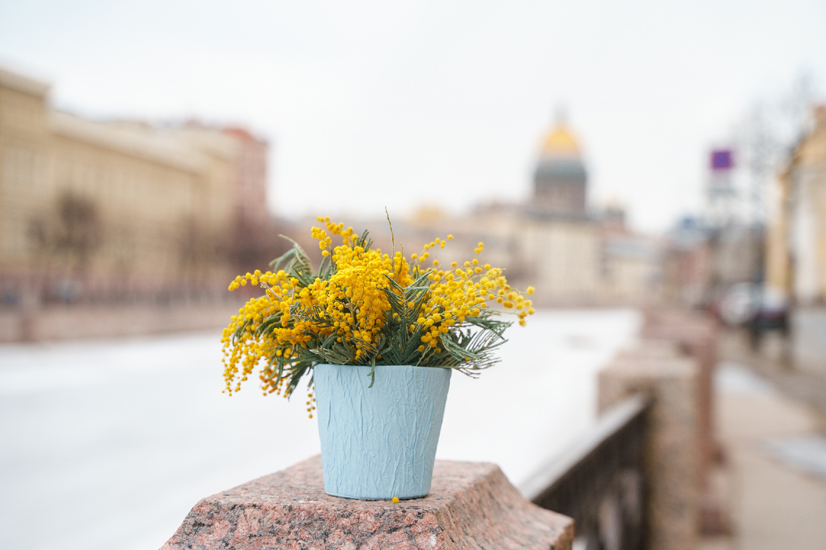 @Ivanova Ksenia/Shutterstock.com 