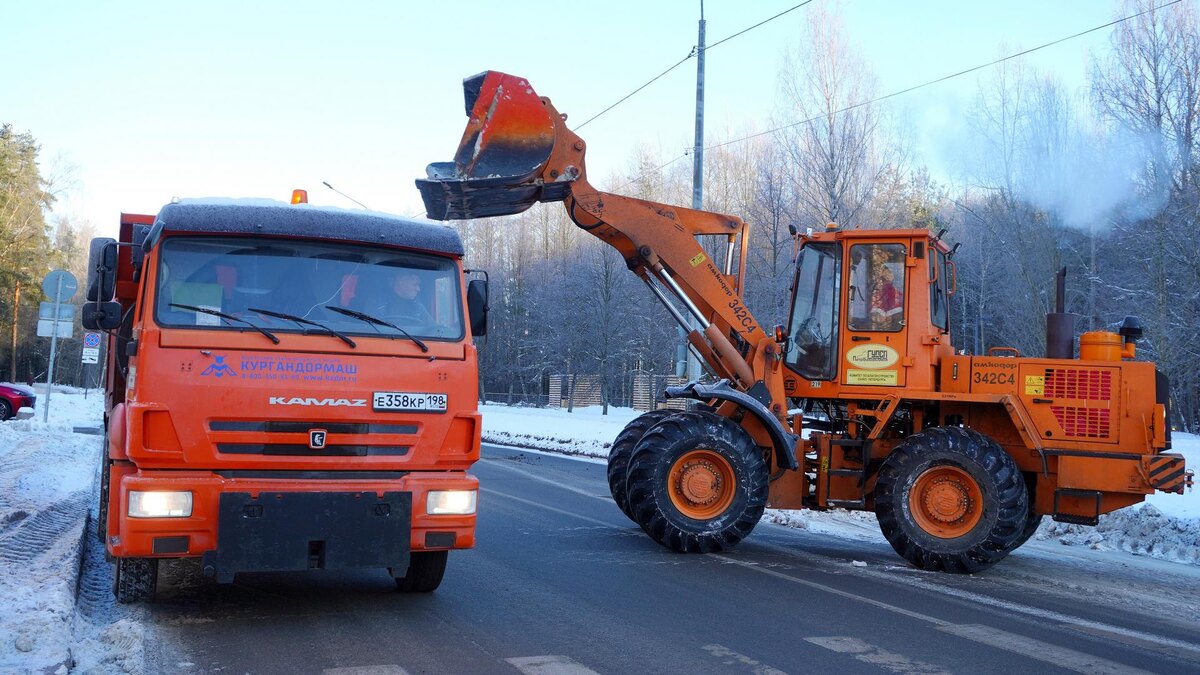    Фото: vk.com/petrichenkosn